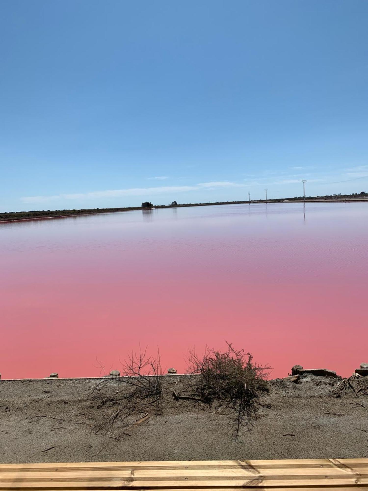 Nuits Salines Эг-Морт Экстерьер фото